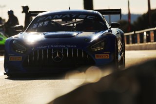 #77 - Haupt Racing Team - Mercedes-AMG GT3 EVO

