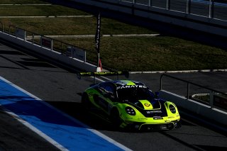 #96 - Rutronik Racing - Porsche 911 GT3 R (992) 
