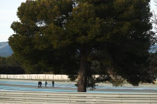 Track Walk
