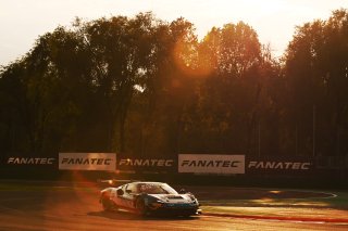 #333 - Rinaldi Racing - Christian HOOK - Felipe FERNANDEZ LASER - David PEREL - Ferrari 296 GT3 