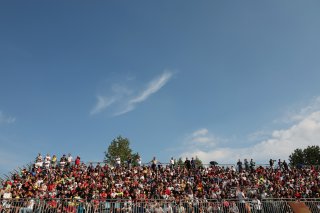 Fans