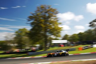 #10 - Boutsen VDS - Aurelien PANIS - Cesar GAZEAU - Mercedes-AMG GT3 EVO
