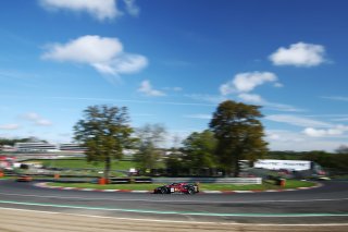 #69  Emil Frey Racing  Thierry VERMEULEN  Giacomo ALTOE  Ferrari 296 GT3
