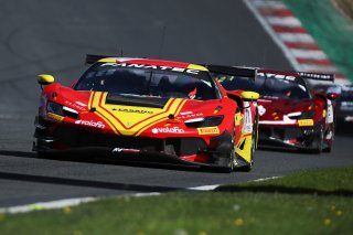 #71  AF Corse  Eilseo DONNO  Thomas FLEMING  Ferrari 296 GT3
