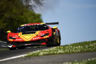 #71  AF Corse  Eilseo DONNO  Thomas FLEMING  Ferrari 296 GT3
