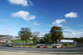 #88  Tresor Attempto Racing  Christopher Haase  Lorenzo FERRARI  Audi R8 LMS GT3 EVO II
