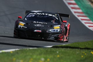 #88  Tresor Attempto Racing  Christopher Haase  Lorenzo FERRARI  Audi R8 LMS GT3 EVO II
