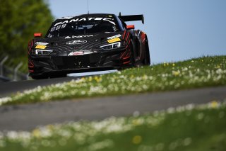 #88  Tresor Attempto Racing  Christopher Haase  Lorenzo FERRARI  Audi R8 LMS GT3 EVO II
