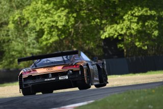 #99  Tresor Attempto Racing  Ricardo FELLER  Alex AKA  Audi R8 LMSGT3 EVO II
