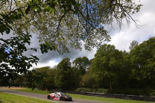 #88  Tresor Attempto Racing  Christopher Haase  Lorenzo FERRARI  Audi R8 LMS GT3 EVO II
