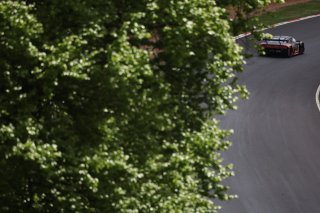 #99  Tresor Attempto Racing  Ricardo FELLER  Alex AKA  Audi R8 LMSGT3 EVO II
