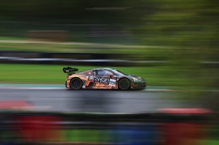 #99  Tresor Attempto Racing  Ricardo FELLER  Alex AKA  Audi R8 LMSGT3 EVO II
