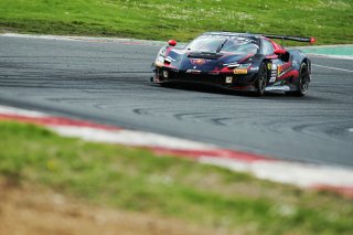 #69  Emil Frey Racing  Thierry VERMEULEN  Giacomo ALTOE  Ferrari 296 GT3

