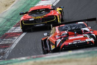 #71  AF Corse  Eilseo DONNO  Thomas FLEMING  Ferrari 296 GT3
