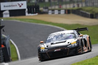 #88  Tresor Attempto Racing  Christopher Haase  Lorenzo FERRARI  Audi R8 LMS GT3 EVO II

