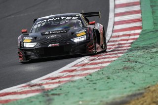 #88  Tresor Attempto Racing  Christopher Haase  Lorenzo FERRARI  Audi R8 LMS GT3 EVO II

