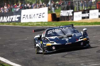 #14  Emil Frey Racing  Konsta LAPPALAINEN  Ben GREEN  Ferrari 296 GB3
