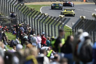 #48  Winward Racing Team MANN-FILTER  Lucas AUER  Maro Engel  Mercedes-AMG GT3 EVO
