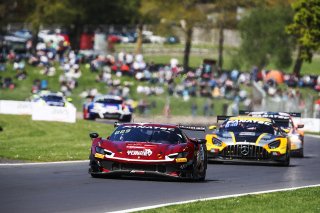 #51  Racing Team Turkey  Salih YOLUC  Charlie EASTWOOD  Ferrari 296 GT3
