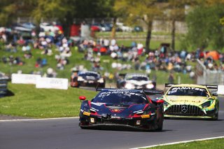 #69  Emil Frey Racing  Thierry VERMEULEN  Giacomo ALTOE  Ferrari 296 GT3
