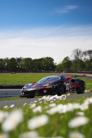 #69  Emil Frey Racing  Thierry VERMEULEN  Giacomo ALTOE  Ferrari 296 GT3
