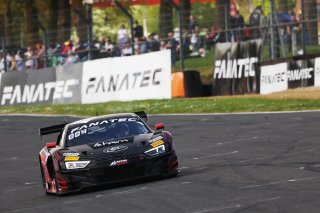 #88  Tresor Attempto Racing  Christopher Haase  Lorenzo FERRARI  Audi R8 LMS GT3 EVO II
