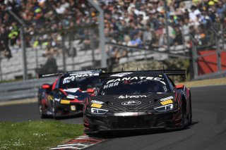 #88  Tresor Attempto Racing  Christopher Haase  Lorenzo FERRARI  Audi R8 LMS GT3 EVO II
