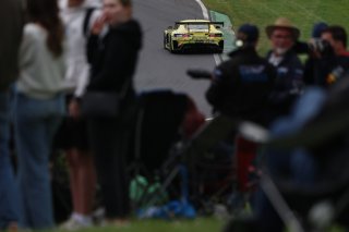 #48  Winward Racing Team MANN-FILTER  Lucas AUER  Maro Engel  Mercedes-AMG GT3 EVO
