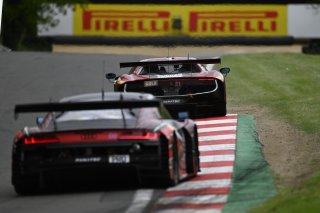 #51  Racing Team Turkey  Salih YOLUC  Charlie EASTWOOD  Ferrari 296 GT3
