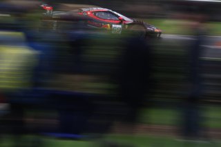 #69  Emil Frey Racing  Thierry VERMEULEN  Giacomo ALTOE  Ferrari 296 GT3

