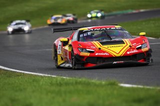 #71  AF Corse  Eilseo DONNO  Thomas FLEMING  Ferrari 296 GT3
