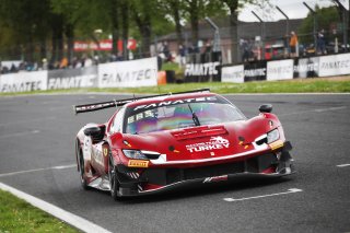 #71  AF Corse  Eilseo DONNO  Thomas FLEMING  Ferrari 296 GT3
