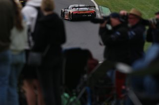 #99  Tresor Attempto Racing  Ricardo FELLER  Alex AKA  Audi R8 LMSGT3 EVO II

