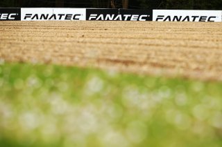 Fanatec

