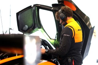 McLaren
