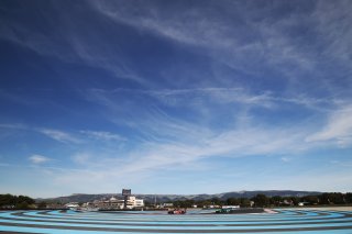 #88 - Tresor Attempto Racing - Lorenzo FERRARI - Lorenzo PATRESE - Leonardo MONCINI - Audi R8 LMS GT3 EVO 2

