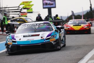 #333 - Rinaldi Racing - Christian HOOK - Felipe FERNANDEZ LASER - David PEREL - Ferrari 296 GT3
