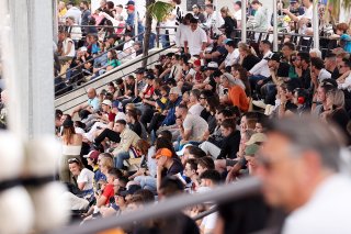 Fans at Paul Ricard
