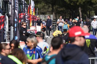 Paddock
