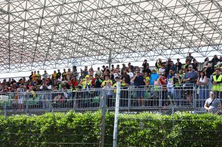 Fans at Misano
