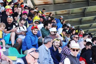 Fans at Misano
