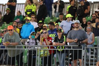 Fans at Misano
