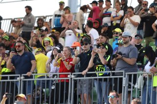 Fans at Misano

