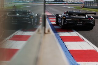 #14  Emil Frey Racing  Konsta LAPPALAINEN  Ben GREEN  Ferrari 296 GT3
