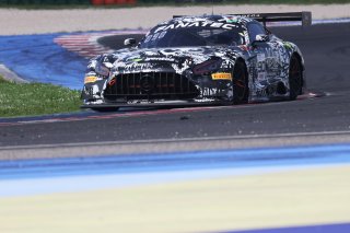#90  Madpanda Motorsport  Exequiel PEREZ COMPANC  Alexander SIMS - Mercedes-AMG GT3
