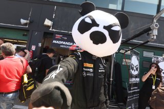 #90  Madpanda Motorsport  Exequiel PEREZ COMPANC  Phil KEEN - Mercedes-AMG GT3

