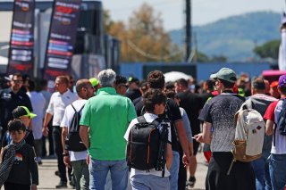 Fans at Misano

