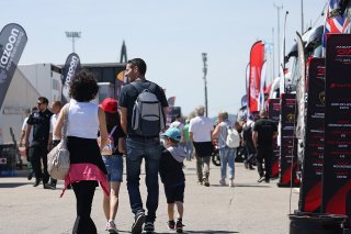 Fans at Misano
