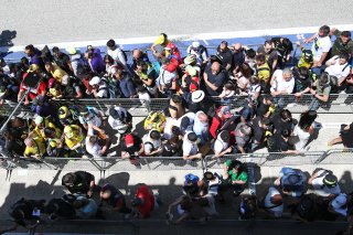 Fans at the pitlane walk
