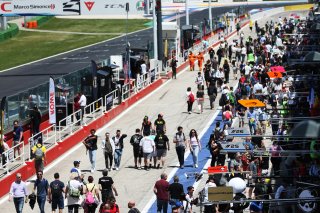 Fans on the Pitwalk
